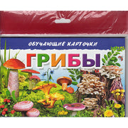 Карточки (европодвес). Грибы ; Карточки (европодвес). Грибы