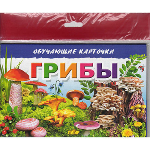 Карточки (европодвес). Грибы ; Карточки (европодвес). Грибы