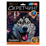 Скретчинг гравюра 18*24 см хаски МУЛЬТИ АРТ в кор.120шт