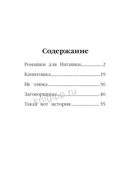 МОЯ БИБЛИОТЕКА. Ромашки для Наташки 80 стр