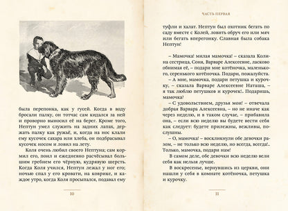 Гиппиус. Нептун