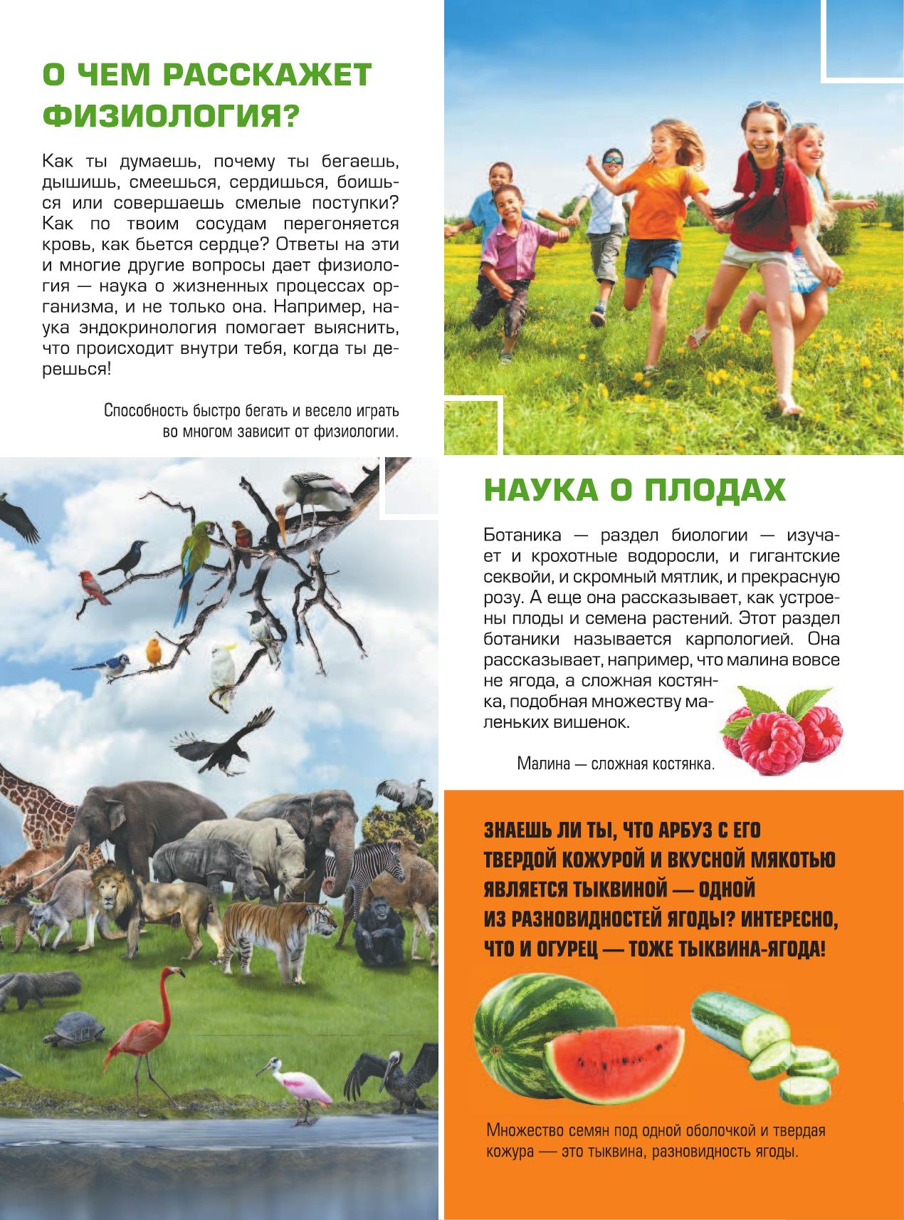Гигантская детская 4D энциклопедия