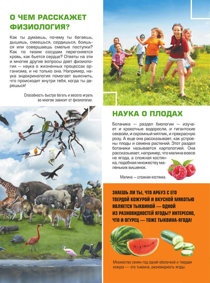 Гигантская детская 4D энциклопедия