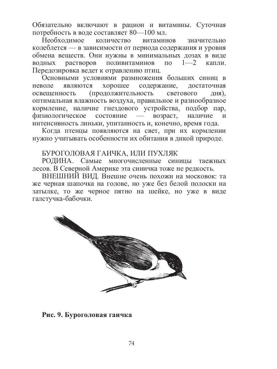 Певчие птицы