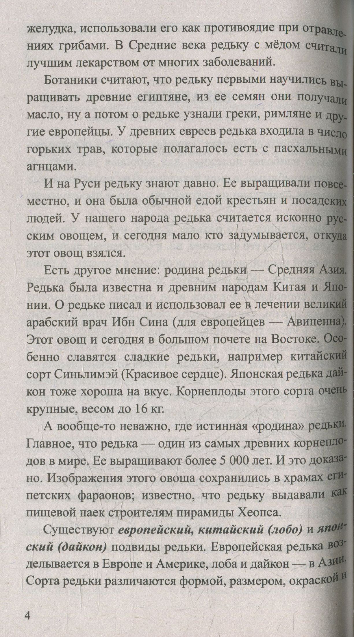Редька. Мифы и реальность