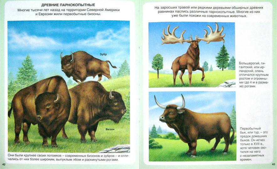 Миллион лет до нашей эры