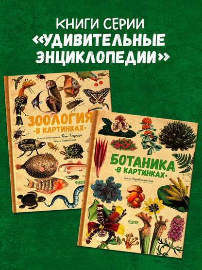 Удивительные энциклопедии. Ботаника в картинках/Сория К.