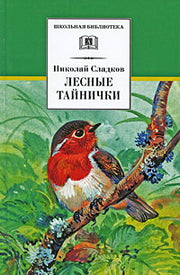 Лесные тайнички (зеленая)
