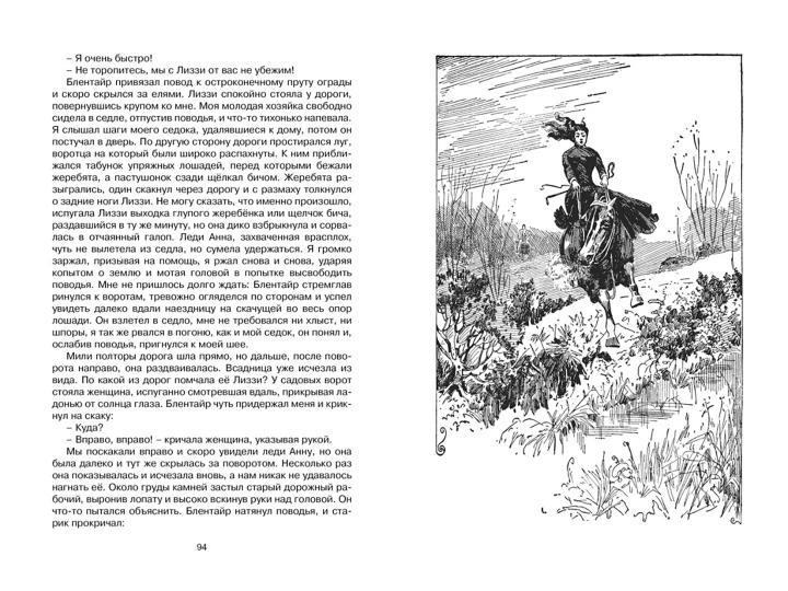 Чёрный Красавчик (нов.обл.)