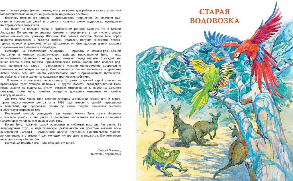 Штормик и мистер Персиваль. Рассказы