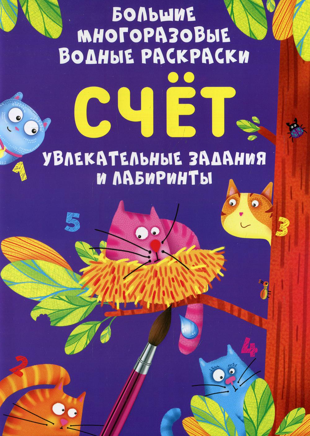 Большие многоразовые водные раскраски. Счет (9789669878878)