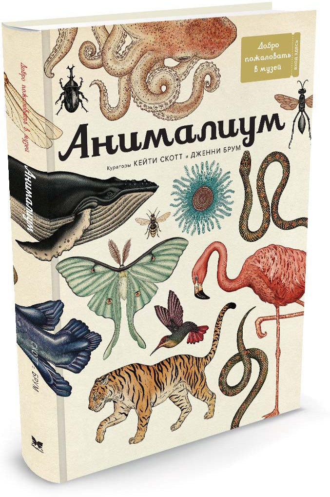 Анималиум