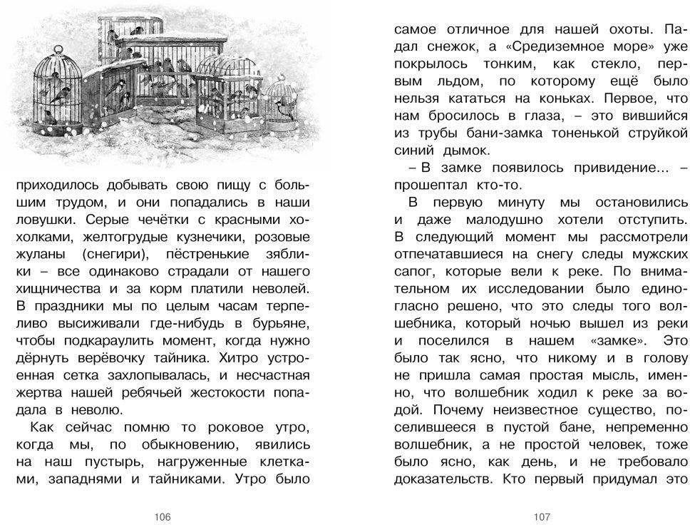 Серая Шейка