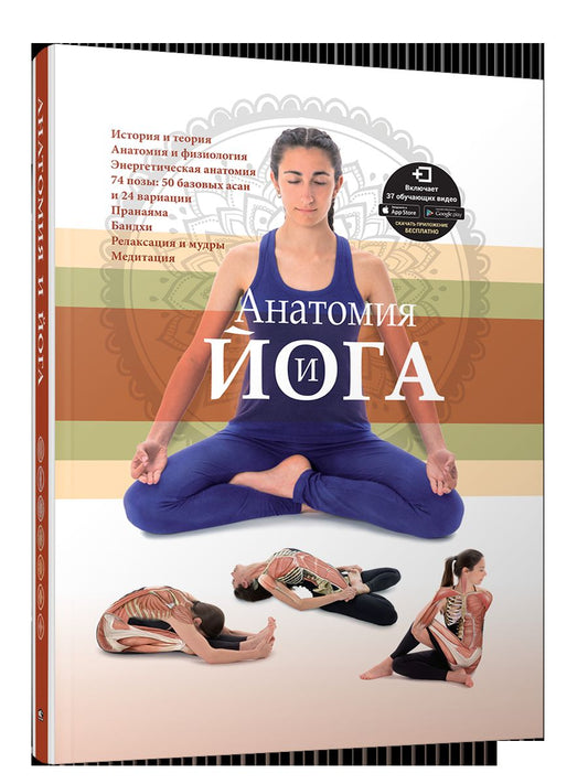 Анатомия и йога