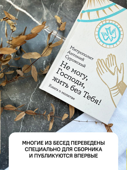 Не могу, Господи, жить без Тебя! Книга о молитве