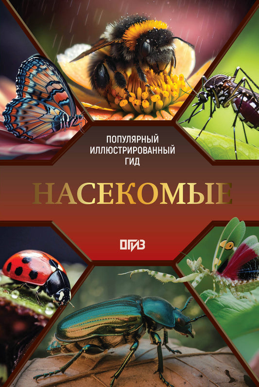 Насекомые. Иллюстрированный гид