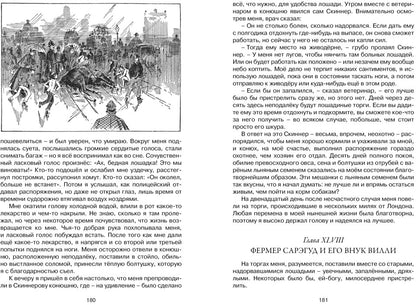 Чёрный Красавчик (нов.обл.)