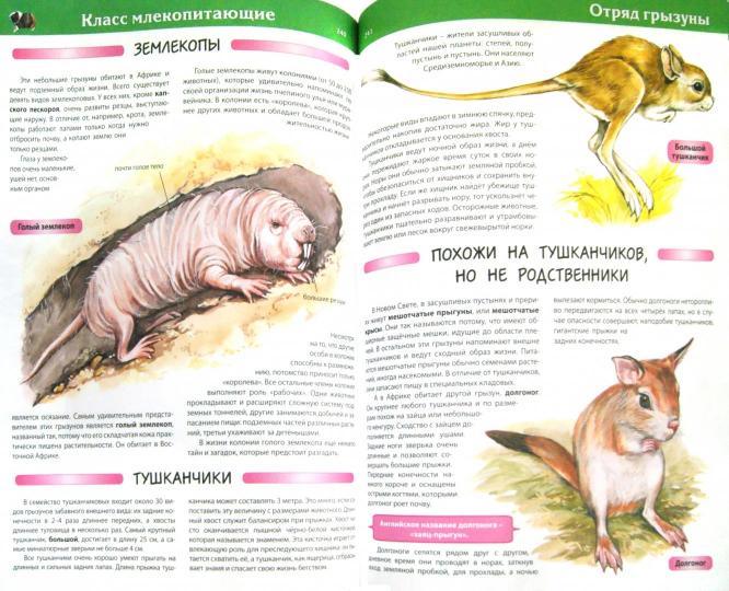 Большая детская энциклопедия животных. Скиба Т.В., Рублев С.В.