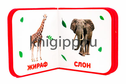 КНИЖКИ НА ПЕНЕ. ДИКИЕ ЖИВОТНЫЕ