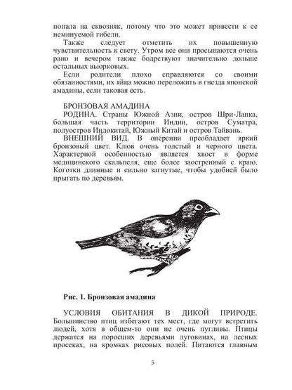 Певчие птицы