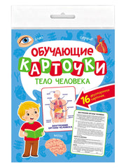 ОБУЧАЮЩИЕ КАРТОЧКИ европодвес. ТЕЛО ЧЕЛОВЕКА