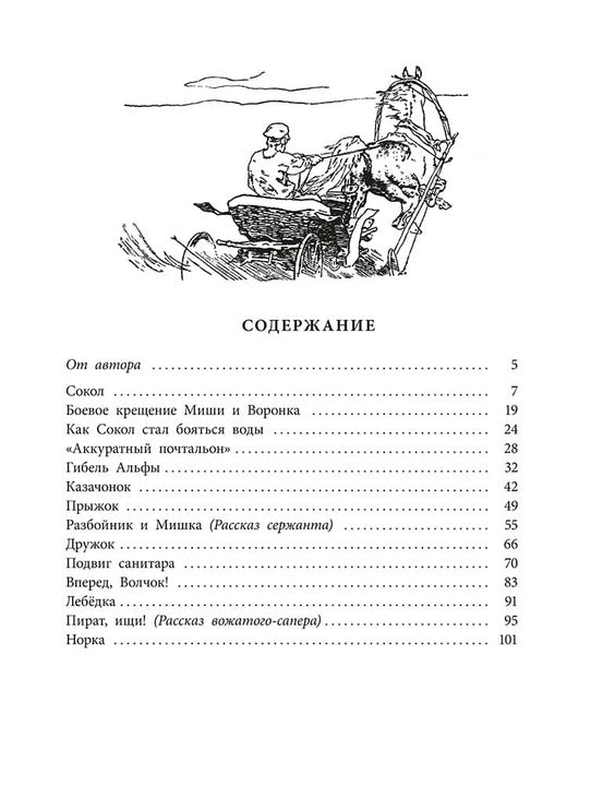 Рип.ВоенДетство.Пират,ищи!