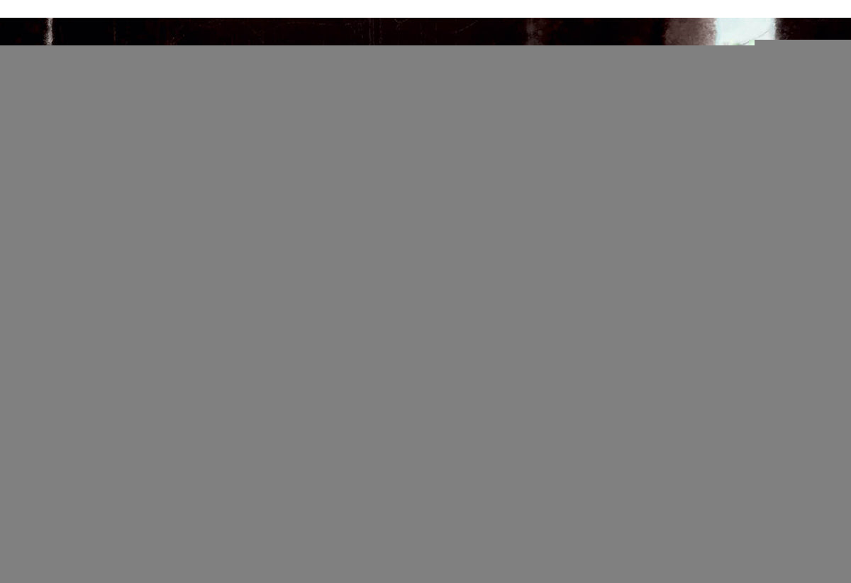 Подарок для мышки : [сказка] / И. В. Зартайская ; ил. Г. А. Белоголовской. — М. : Нигма, 2019. — 32 с. : ил.