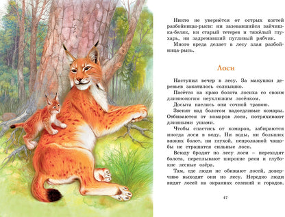 Год в лесу. Рассказы о природе